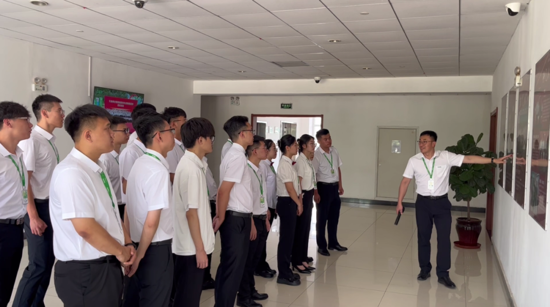 DB真人·(中国区)官方网站