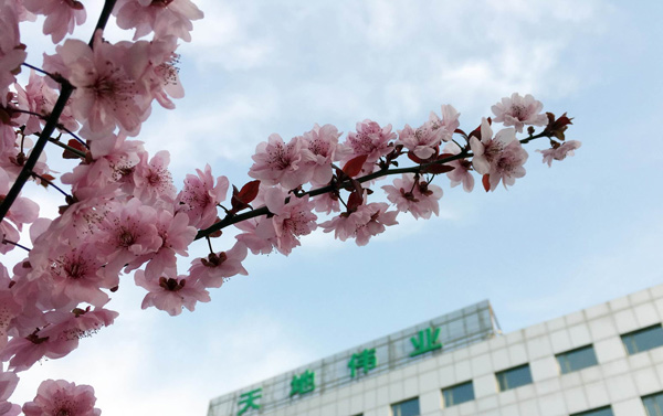 DB真人·(中国区)官方网站