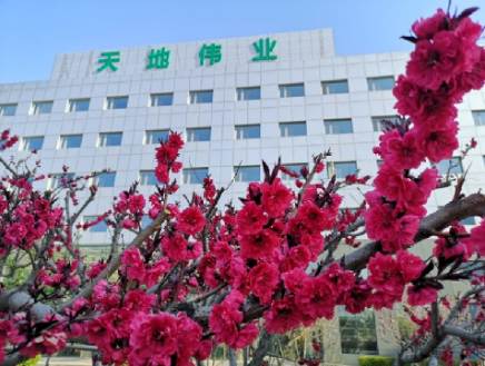 DB真人·(中国区)官方网站