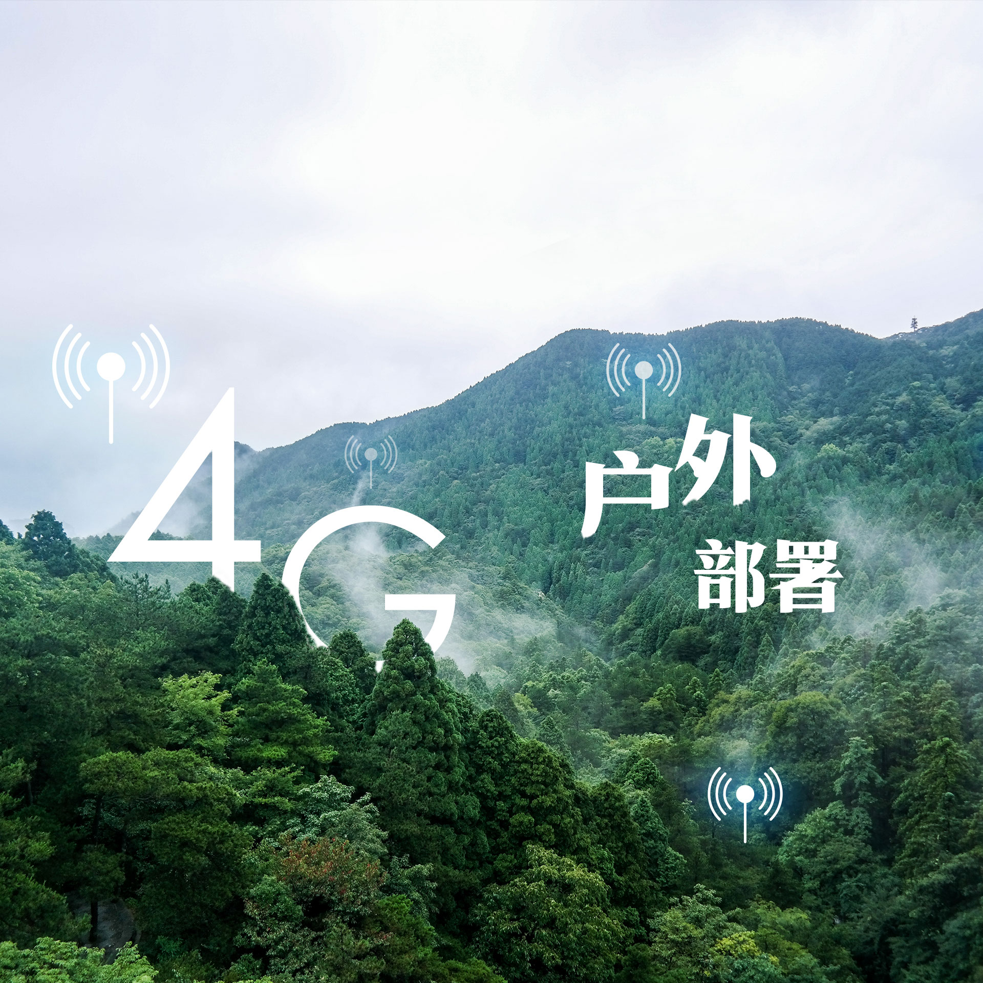 DB真人·(中国区)官方网站